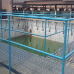Water corporation of Oyo State (WCOS)
